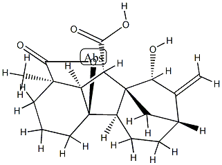 4aα,9β-ジヒドロキシ-1β-メチル-8-メチレンギバン-1α,10β-ジカルボン酸1,4a-ラクトン 化学構造式