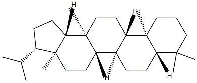 Arborane Structure