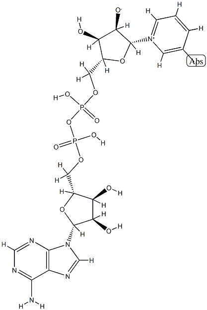 3-iodopyridine-adenine dinucleotide,56541-70-9,结构式