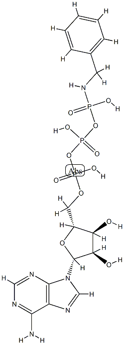 ATP감마-벤질아미드