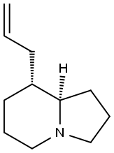 Indolizine, octahydro-8-(2-propenyl)-, (8R,8aR)-rel- (9CI) Struktur