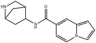 7-Indolizinecarboxamide,N-2-azabicyclo[2.2.1]hept-5-yl-(9CI) Struktur