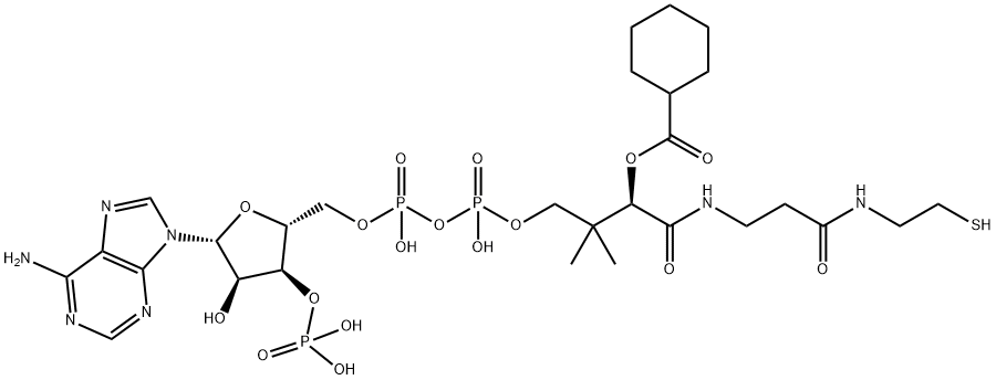 cyclohexanecarboxyl-coenzyme A,5960-12-3,结构式