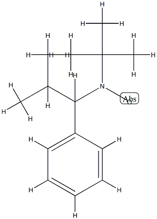 2,2,5-TriMethyl-4-phenyl-3-azahexane-3-nitroxide Structure