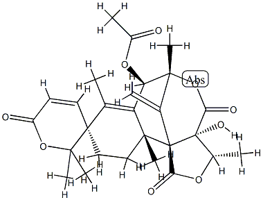 AUSTINA Struktur