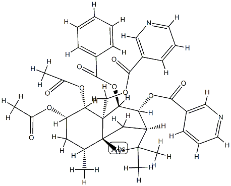 茶碱的结构式图片