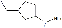 1-(3-ethylcyclopentyl)hydrazine 结构式