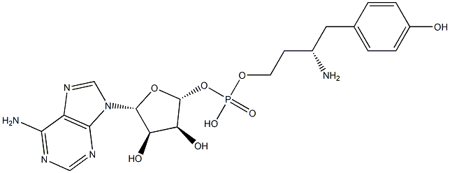 tyrosinyl-5'-AMP 结构式