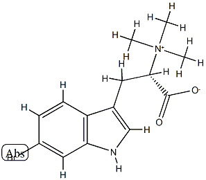 L-6-bromohypaporphine 化学構造式
