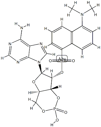 2'-dansyl-cyclic AMP|