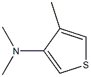 3-티오페나민,N,N,4-트리메틸-(9CI)