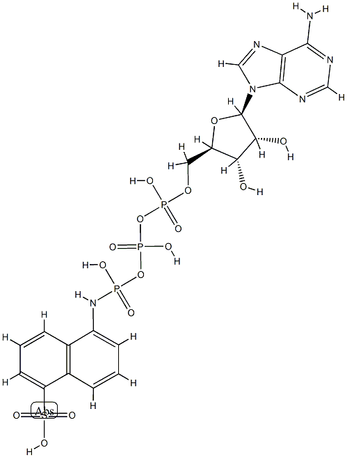 ATP-1-aminonaphthalene-5-sulfonate|