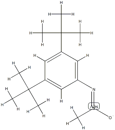 N-(3,5-Di-tert-butylphenyl)methanesulfinamido radical Struktur