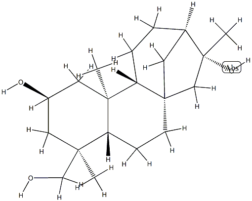 蕨贝壳杉烷 R,67349-43-3,结构式