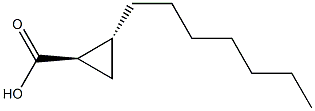 CISANDTRANS-2-HEPTYLCYCLOPROPANECARBOXYLICACID 化学構造式