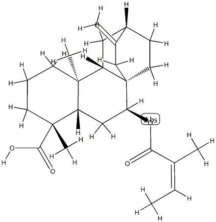 (4R,5β,8α,9β,10α,12α)-7β-[[(Z)-2-メチル-1-オキソ-2-ブテニル]オキシ]アチサ-16-エン-18-酸 化学構造式