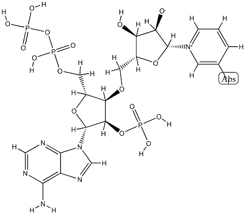 71187-05-8 3-iodopyridine-adenine dinucleotide phosphate