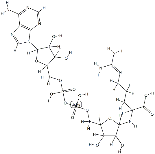 ADP-ribosylarginine Structure