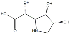 2-Pyrrolidineaceticacid,-alpha-,3,4-trihydroxy-,[2R-[2-alpha-(S*),3-bta-,4-bta-]]-(9CI) 化学構造式
