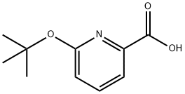 2-Pyridinecarboxylicacid,6-(1,1-dimethylethoxy)-(9CI) 化学構造式