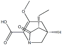 1-Azabicyclo[3.2.1]oct-2-ene-2-carboxylicacid,6-ethyl-3-methoxy-7-oxo-,(1R,5S,6S)-rel-(9CI)|