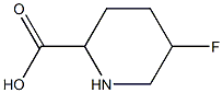 2-Piperidinecarboxylicacid,5-fluoro-(9CI) Structure