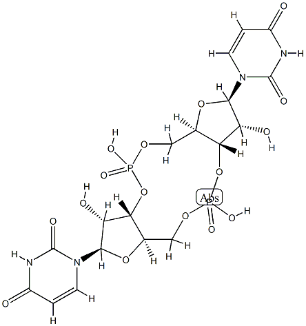 bis(3'-5')cyclic diuridine monophosphate|