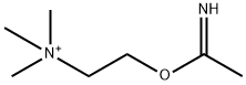 (2-acetimidoxy)ethyltrimethylammonium|