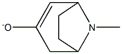 8-Azabicyclo[3.2.1]oct-2-en-3-ol,8-methyl-(9CI),733715-75-8,结构式