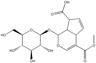 73528-73-1 1-(β-D-Glucopyranosyloxy)-1,4a,7,7a-tetrahydrocyclopenta[c]pyran-4,7-dicarboxylic acid 4-methyl ester