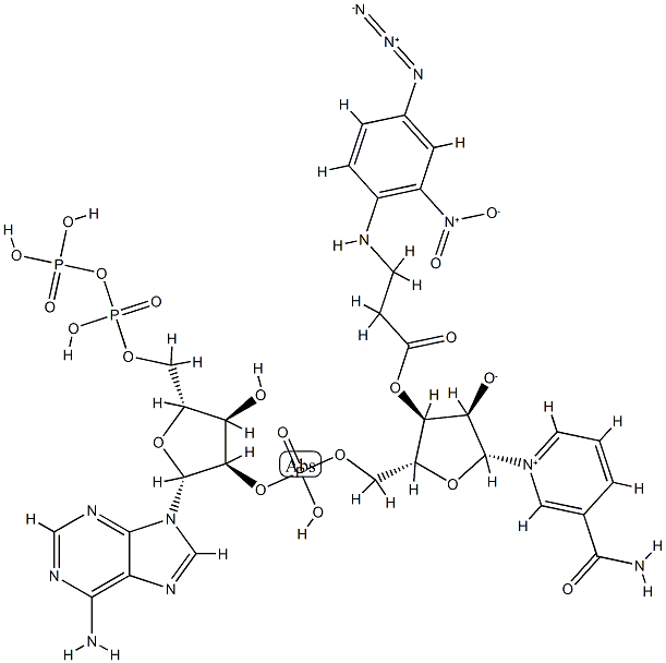 arylazido-beta-alanyl-NADP Struktur