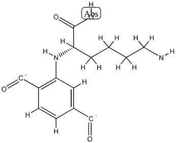 Poly(imino(1-carboxy-1,5-pentanediyl)iminocarbonyl-1,4-phenylenecarbon yl) 结构式