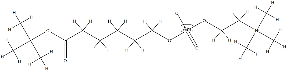 73839-23-3 tert-Butyl 6-(O-Phosphorylcholine)hydroxyhexanoate