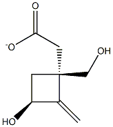 Cyclobutanemethanol, 3-hydroxy-2-methylene-, alpha-acetate, (1S,3S)- (9CI) Structure
