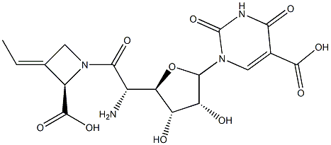 74418-20-5 1-[5-Amino-6-[(2S,E)-2-carboxy-3-ethylidene-1-azetidinyl]-5-deoxy-β-D-allo-hexodialdo-1,4-furanosyl]-1,2,3,4-tetrahydro-2,4-dioxo-5-pyrimidinecarboxylic acid