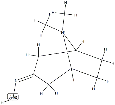 8-Azoniabicyclo[3.2.1]octane,3-(hydroxyimino)-8,8-dimethyl-(9CI) Struktur