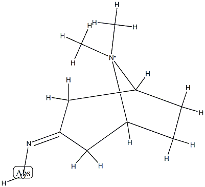 8-Azoniabicyclo[3.2.1]octane,3-(hydroxyimino)-8,8-dimethyl-(9CI) Structure