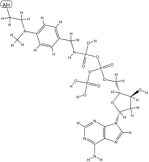 4-(N-2-chloroethyl-N-methylamino)benzyl-gamma-amide dATP|