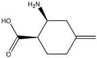 Cyclohexanecarboxylic acid, 2-amino-4-methylene-, (1R,2S)-rel- (9CI) Struktur