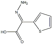 2-Thiopheneaceticacid,alpha-hydrazono-(9CI) Struktur