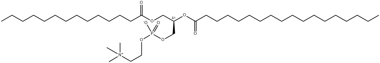 1-myristoyl-2-stearoylphosphatidylcholine