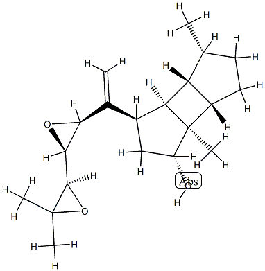 spatol Structure