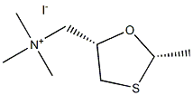 OXA-22 Structure