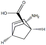 Bicyclo[2.2.1]hept-5-ene-2-carboxylic acid, 2-amino-, (1R,2S,4R)-rel- (9CI) 化学構造式