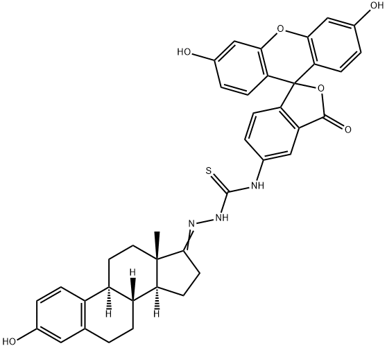 17-fluorescein estrone Structure