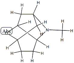 2,5-Methanopyrano[3,2-b]pyrrole,octahydro-1-methyl-(9CI) 化学構造式