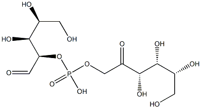 [(3S,4R,5R)-3,4,5,6-四羟基-2-氧代己基][(2R,3S,4S)-3,4,5-三羟基-1-氧代戊烷-2-基]氢磷酸酯, 77193-03-4, 结构式