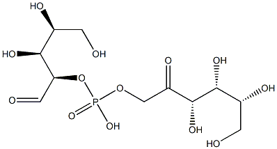 [(3S,4R,5R)-3,4,5,6-四羟基-2-氧代己基][(2R,3S,4S)-3,4,5-三羟基-1-氧代戊烷-2-基]氢磷酸酯,77193-03-4,结构式