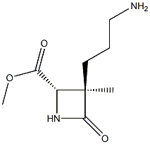 2-Azetidinecarboxylicacid,3-(3-aminopropyl)-3-methyl-4-oxo-,methylester,(2R,3S)-rel-(9CI)|