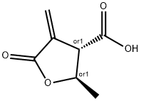 3-Furancarboxylicacid,tetrahydro-2-methyl-4-methylene-5-oxo-,(2R,3S)-rel-(9CI)|